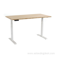 Professional Electric Stand height adjustable Desk Table